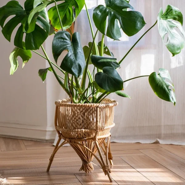 support pour plantes