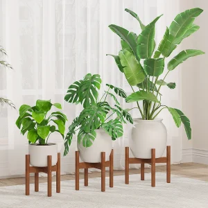 support pour plantes en bambou