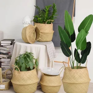Panier Jardinière Jonc de mer Naturel